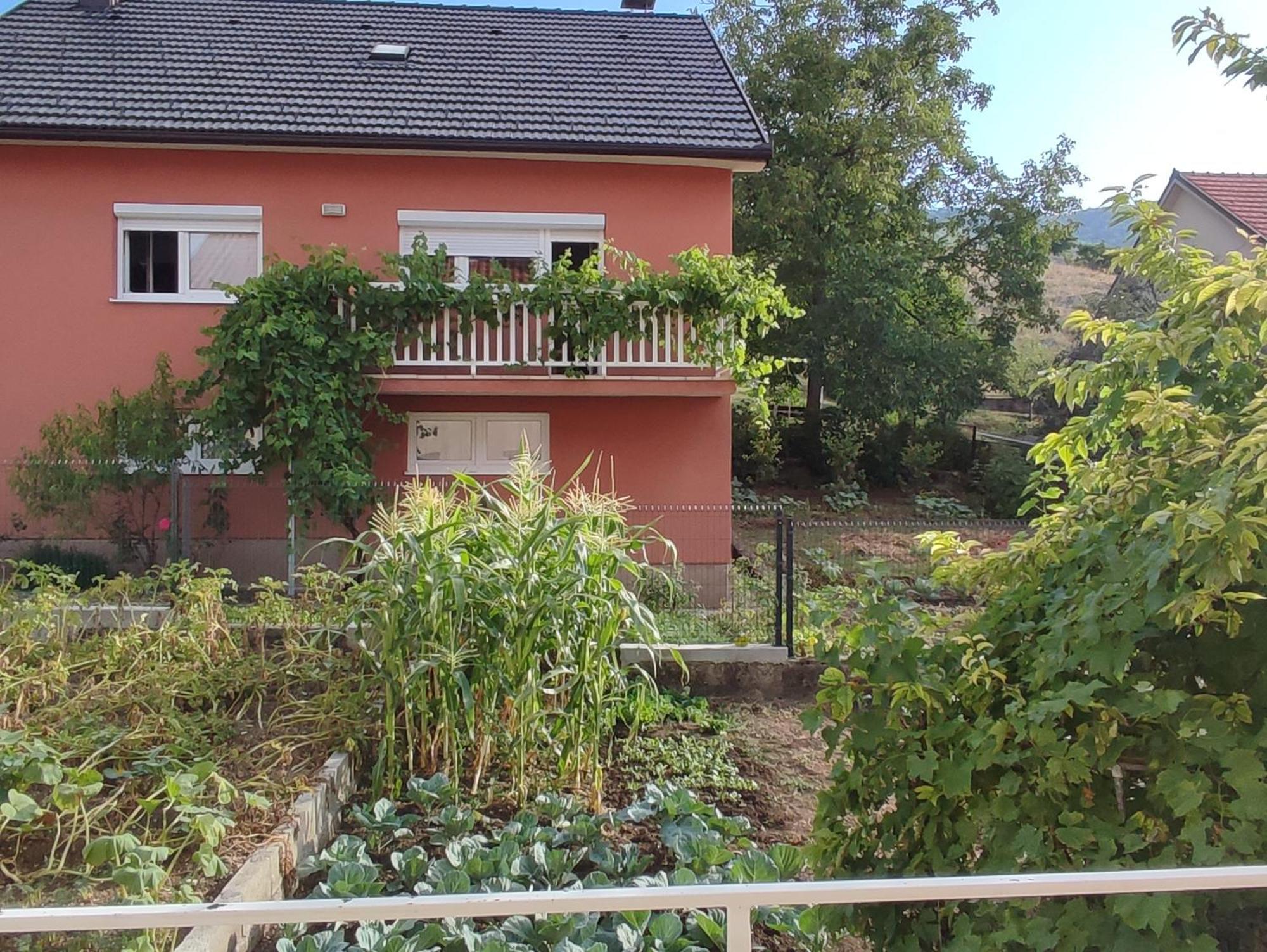 Apartman Bor Livno Bagian luar foto
